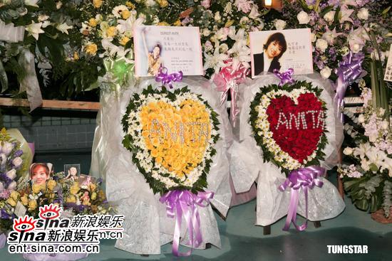 图文：梅艳芳病逝两周年--fans给梅姐的礼物