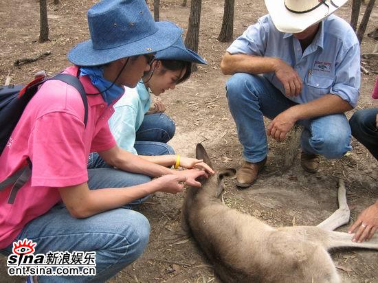 图文:青春之星农庄之旅--和小动物亲密接触