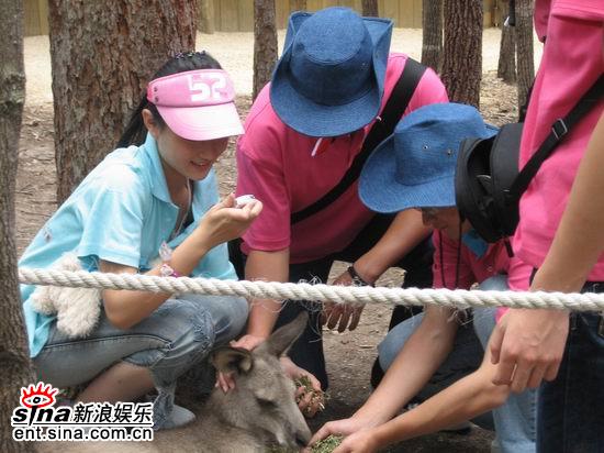 图文:青春之星农庄之旅--喂食袋鼠