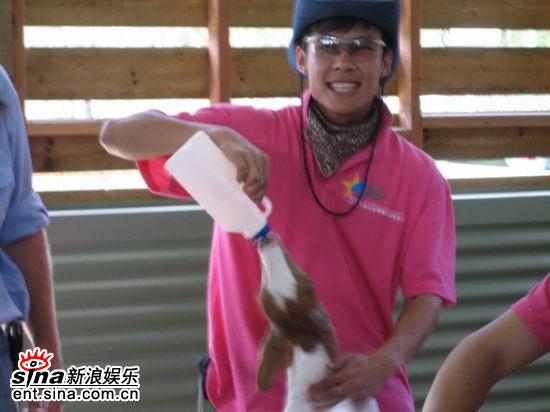图文:青春之星农庄之旅--这个小羊怎么会说话