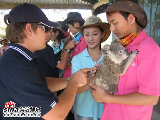 图文:青春之星农庄之旅--选手轮流与考拉合影