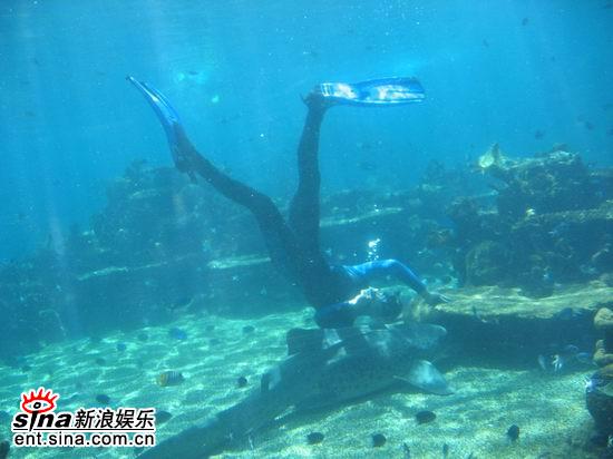 图文:青春之星澳洲之旅--好大一条鱼