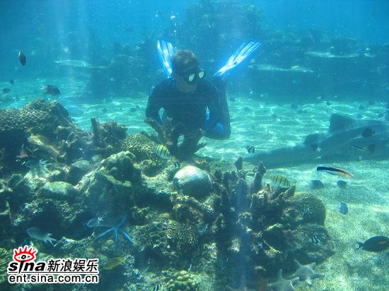 图文:青春之星澳洲之旅--美丽的珊瑚礁