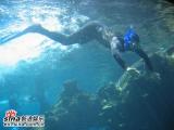 组图：青春之星澳洲之旅-观赏海豚海洋世界潜水