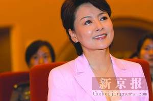 张瑜表演获好评任长霞同事都说“真像”(组图)