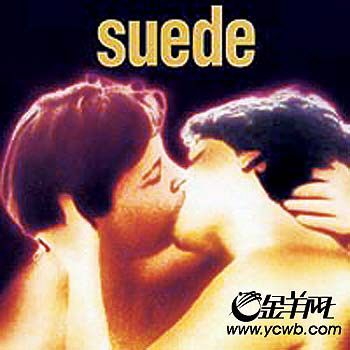 SUEDEֶӽɢع˹ĻԻʱ(ͼ)