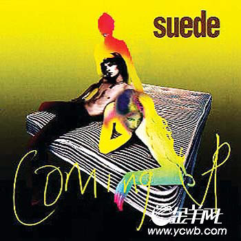 SUEDEֶӽɢع˹ĻԻʱ(ͼ)