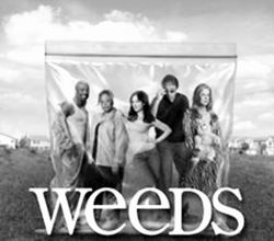 (顤ŷ)衷Weeds(ͼ)