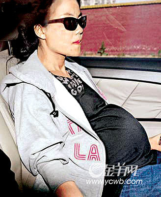 怀孕9个月被偷拍李亚鹏为护王菲抓伤记者