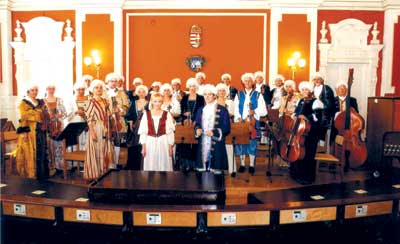 纪念莫扎特诞辰250年奥地利音乐家戴头套奏乐