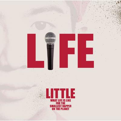 a little life cover