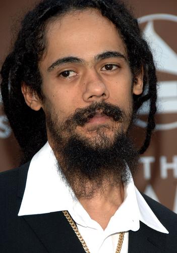 ͼģ֮DamianMarleyֳִ