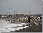 image_14387.jpg