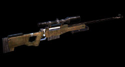 AWP