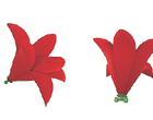 ҾӼװҾͼƬ