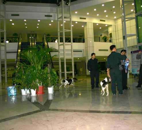 组图：珠海警犬大队4只搜爆犬进行安全检查(2)