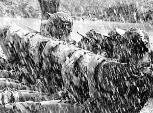 组图：成都军区某部官兵在暴雨中进行训练