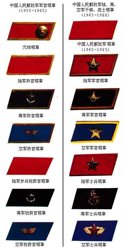 资料：中国人民解放军领花、领章发展史(组图)