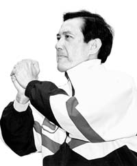 马英九称党若分裂将退选台媒民调一“马”当先