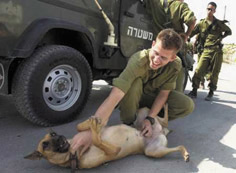 恐怖袭击的克星：以色列特种军犬部队(组图4)