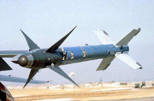 美国向捷克赠送80枚短程AIM-9M响尾蛇导弹(图)