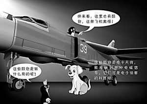 飞机也长“金鱼眼”(图)