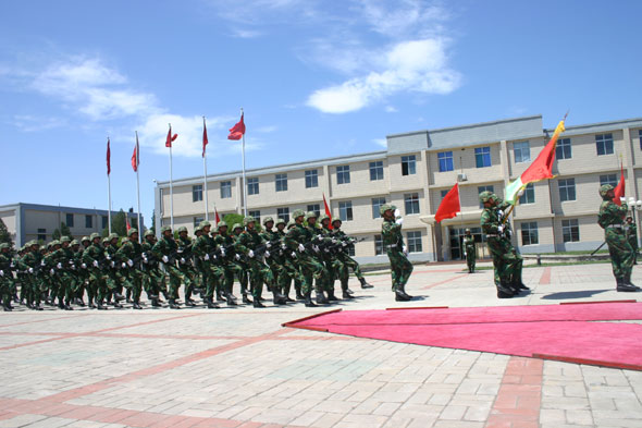 图文：步兵旅方阵分列式欢迎各国驻华武官(23)
