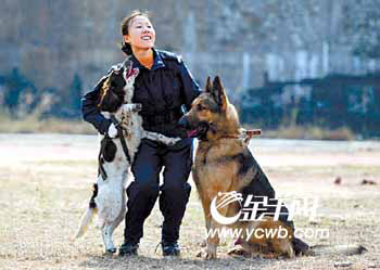 女警花训犬苦中作乐搭档练硬功人狗情未了(图)