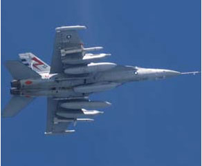 Էɹߺ͸ŵյF/A-18F(ͼ)