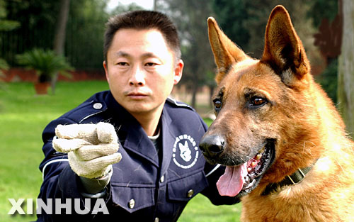 组图:中国昆明犬训练繁殖基地探秘