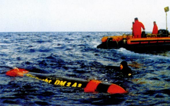 图文：回收试验后的海鳕线导长鱼雷样雷