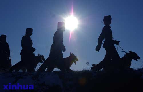 图文：警犬与官兵一起在边境巡逻