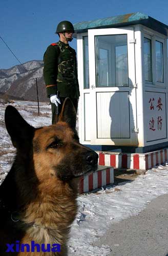 图文：警犬和战士在公路上值勤