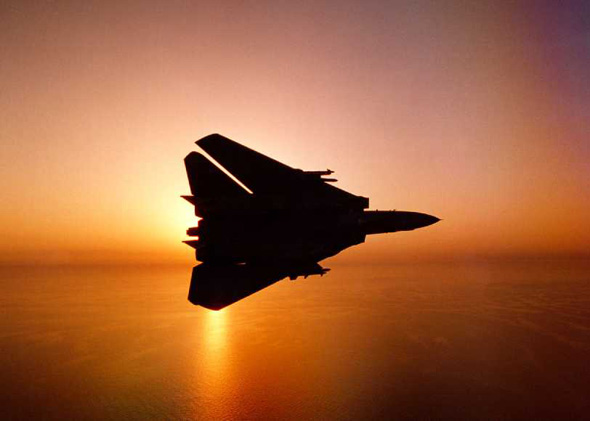 F-14սڽȫ(ͼ)