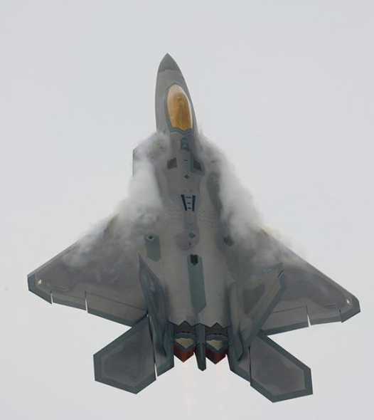 F-22AF-35սοϮȺ(ͼ)