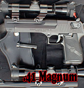 .41 Magnum ɳĮ֮ӥ