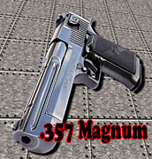 .357 Magnum ɳĮ֮ӥ