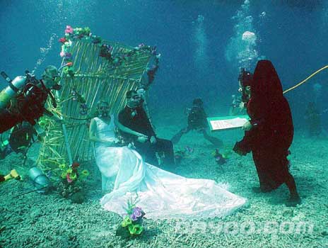 美人鱼传说--美丽的海底婚礼(图)