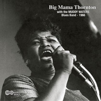 i'm feeling alright-big mama thornton-新浪乐库