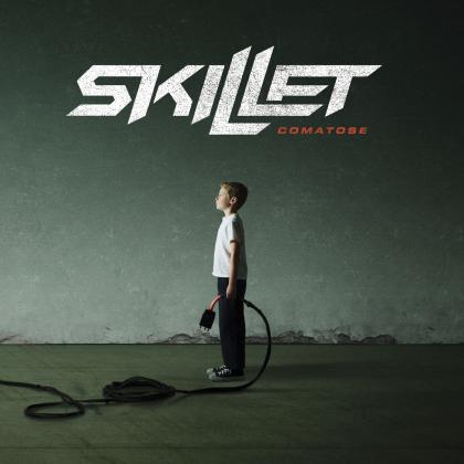 rebirthing-skillet