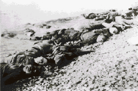 1937年日本有多少人口_1937年日本侵略上海(2)