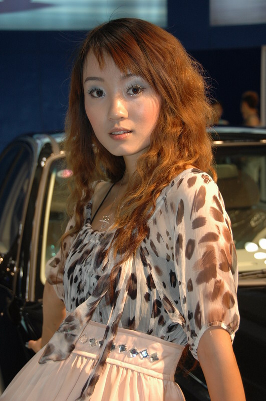 2007重庆车展模特