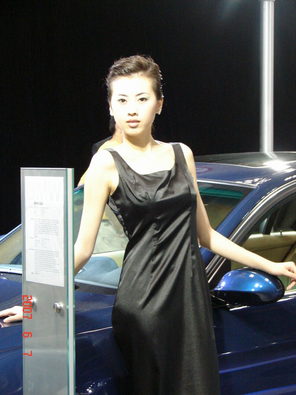 2007쳵չģ