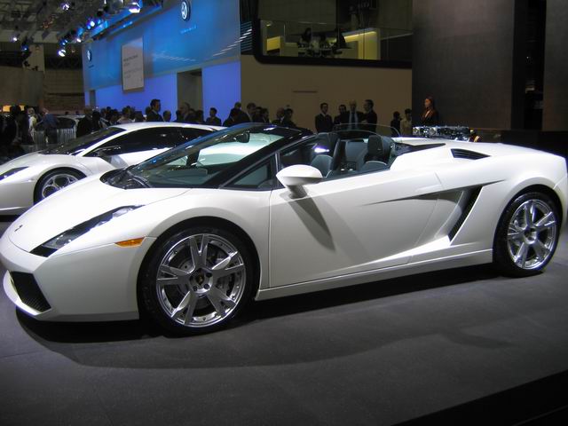 Gallardo 