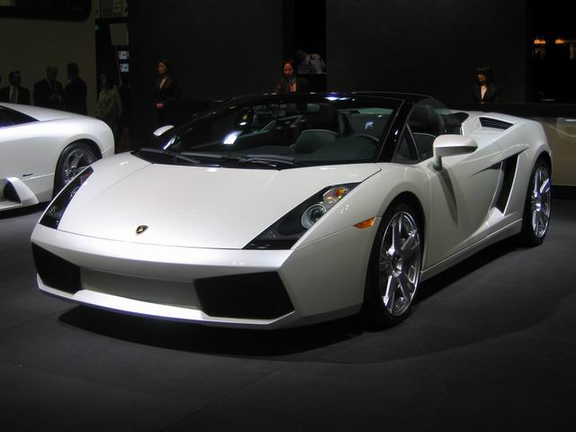 Gallardo 