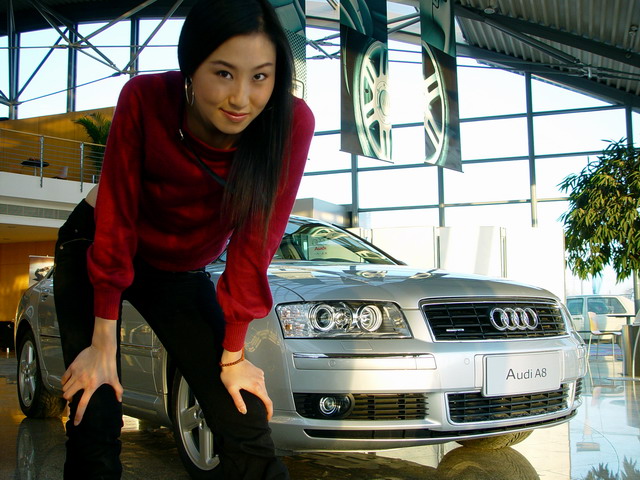 ģ°µA8(Audi A8)