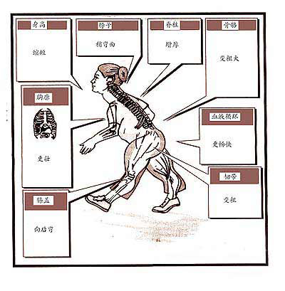 人类人口变化示意图_中国人口数量变化图(2)