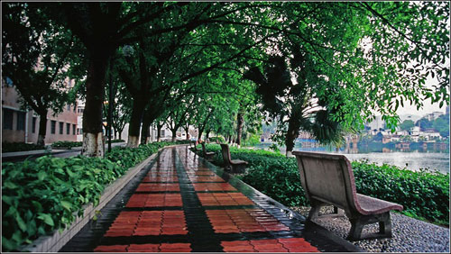 华南理工大学的校园美景