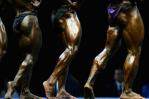 图文-亚运会健美12月8日赛况谁的腿部更健美