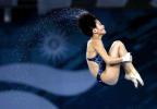 王鑫夺得跳水女子10米台金牌